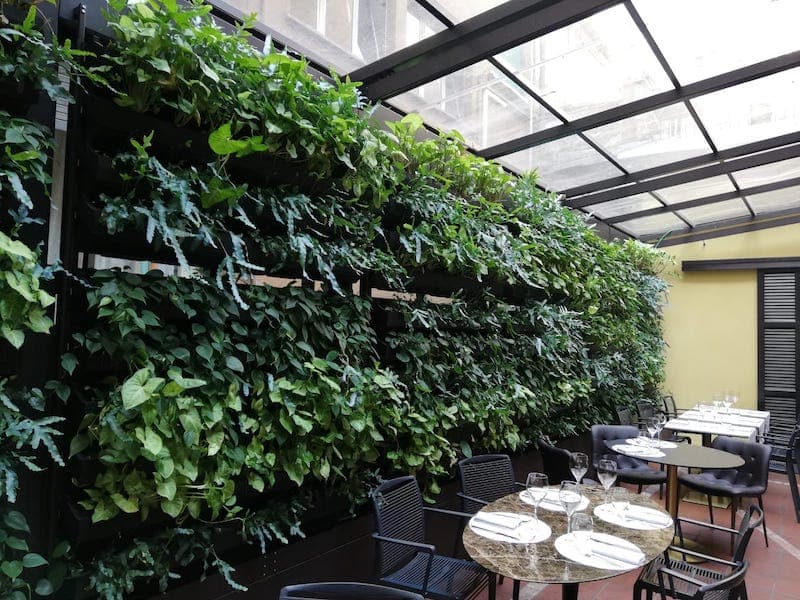 Giardino verticale per Bar