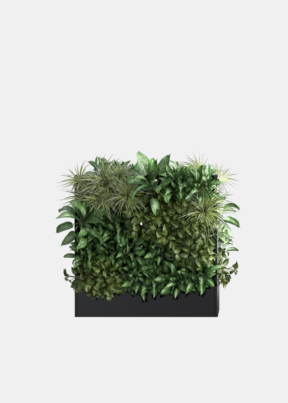 Easy Double Sided Verdeprofilo