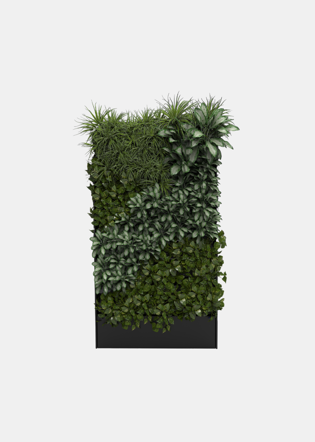 Easy Single Side Verdeprofilo