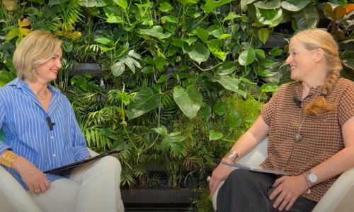 Screenshot-2024-07-29-123311